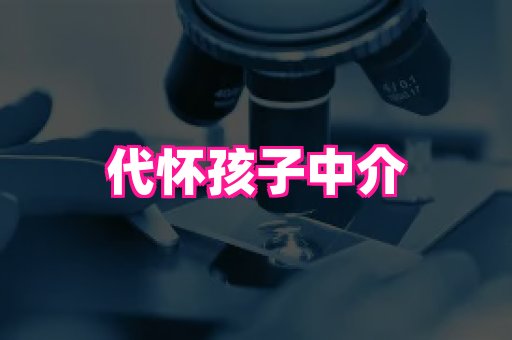 nub孕网 3