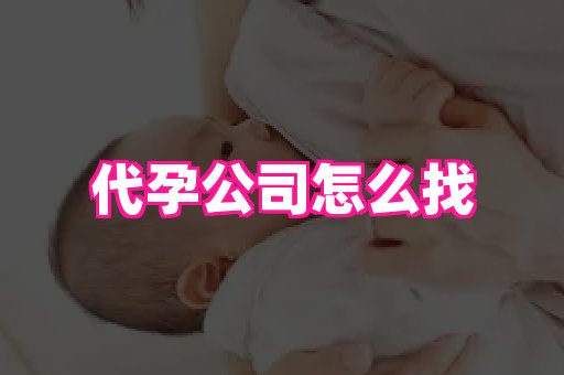 nub孕网 4